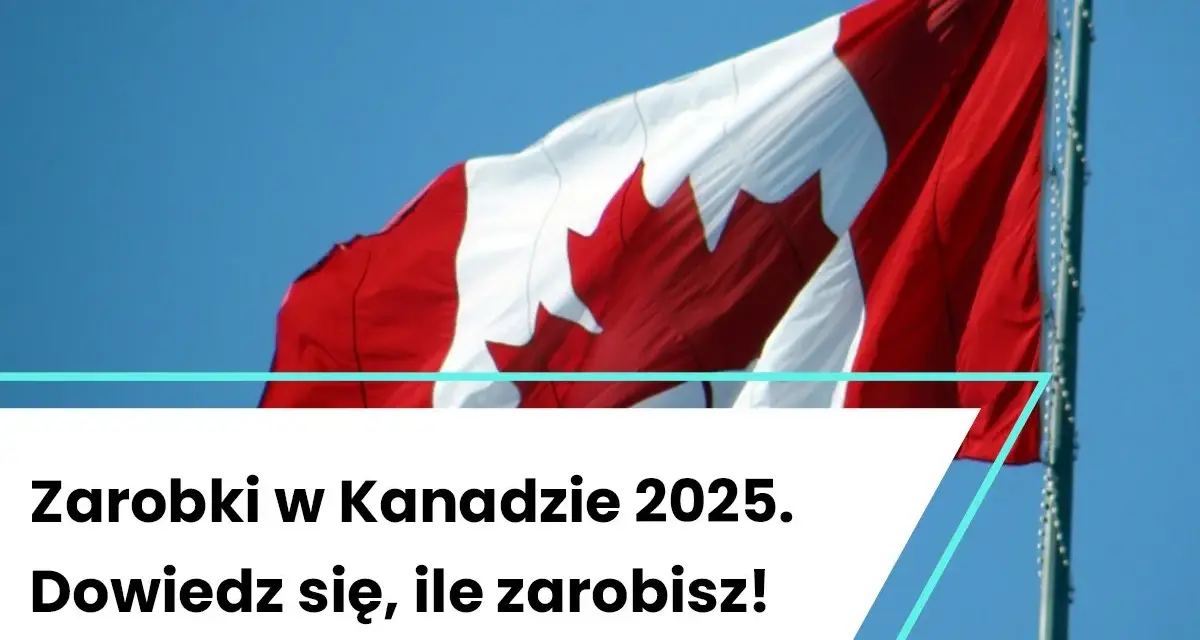 Barman w Kanadzie: Zarobki 80 000 CAD rocznie? Sprawdź!