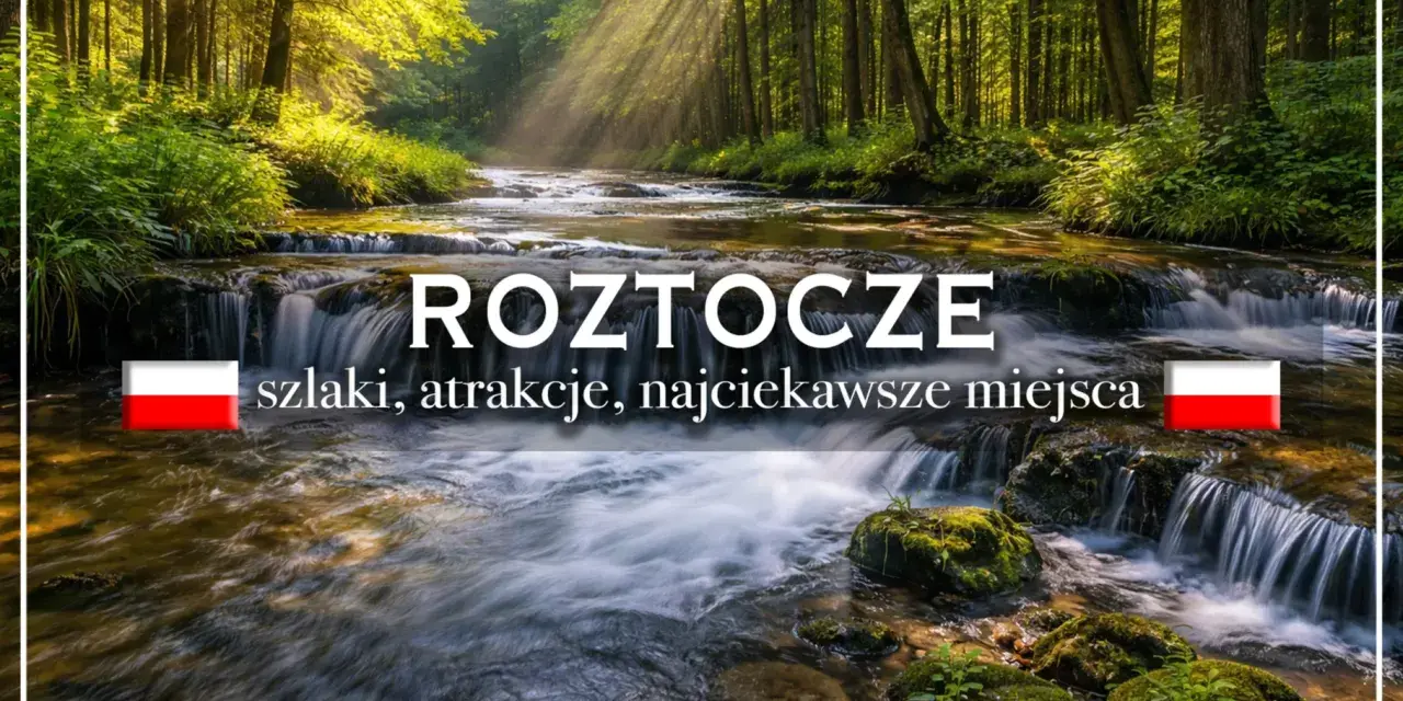 Roztocze: szlaki, atrakcje, najciekawsze miejsca. Malowniczy potok w lesie, idealny na wycieczkę.