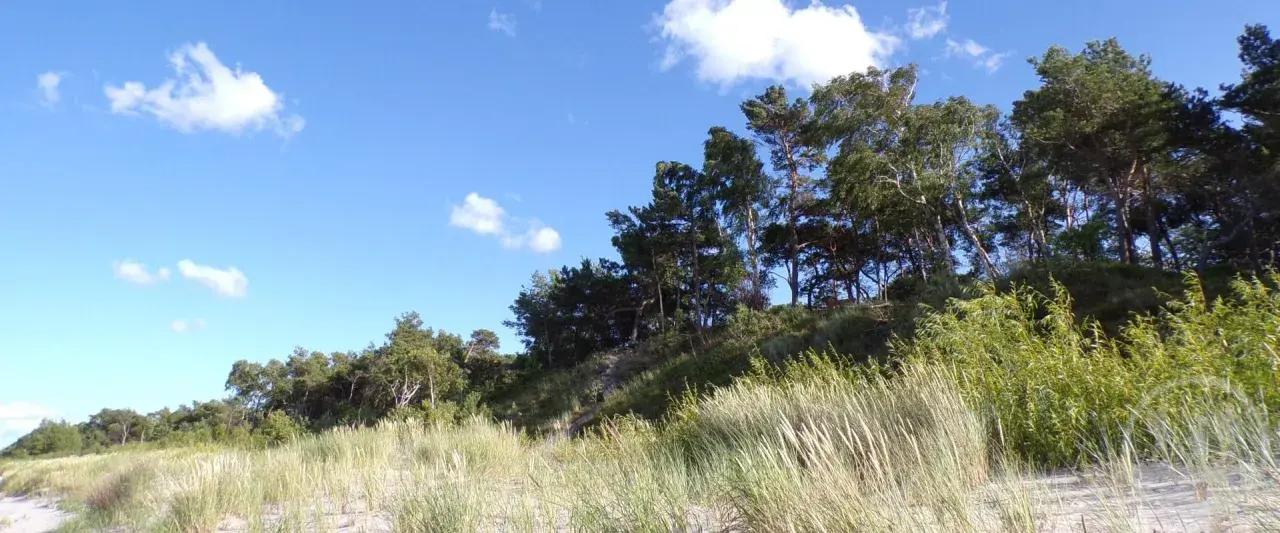 Piękny, zielony krajobraz z piaszczystą plażą i lasem na wzniesieniu. W oddali widać góra libek.