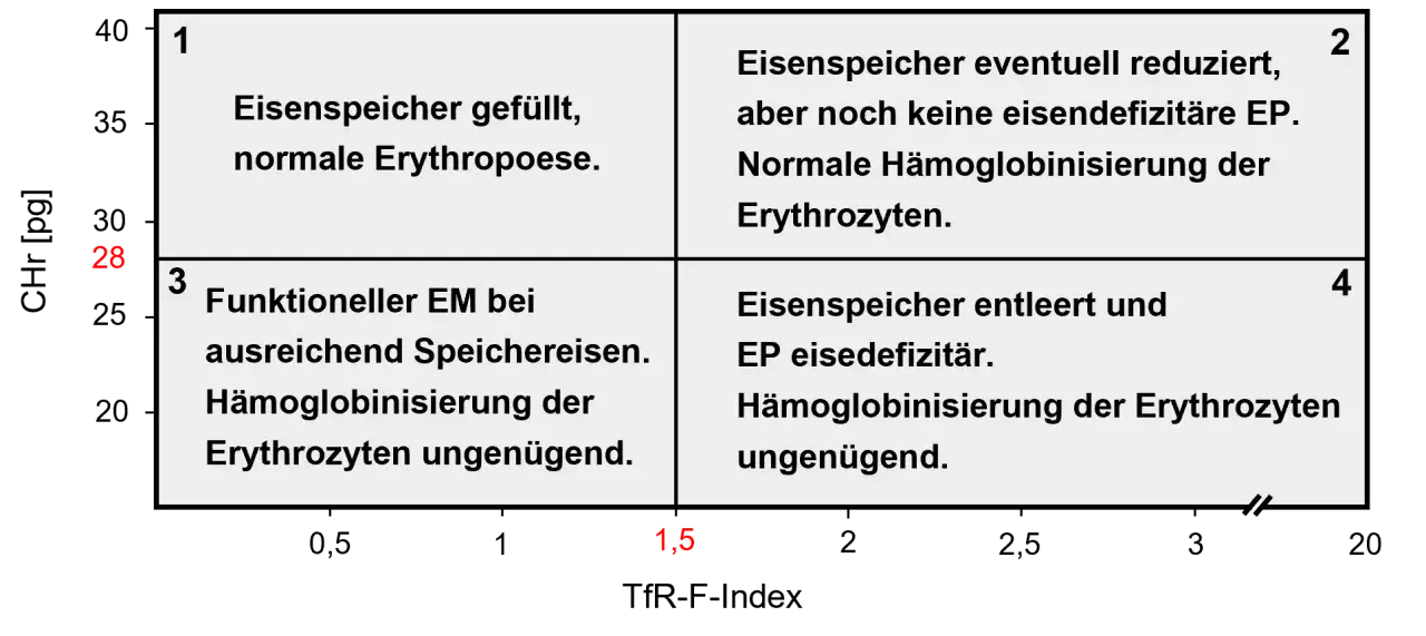 Diagramm zeigt vier Stadien der Eisenversorgung. Quadrant 4 beschreibt einen Zustand, bei dem der Eisenspeicher entleert ist und die Hämoglobinisierung der Erythrozyten ungenügend ist, was auf zu niedriges Ferritin hinweist.