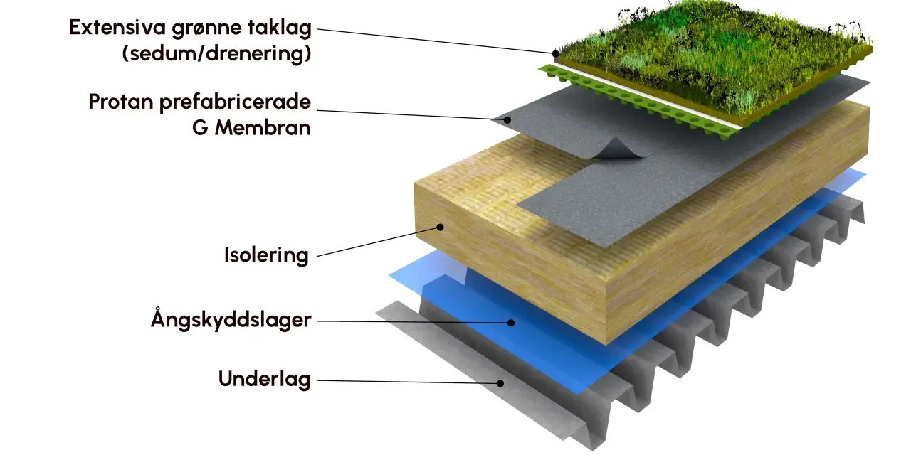 Explosion av en sedumtak konstruktion med lager av vegetation, dränering, membran, isolering, ångspärr och underlag.