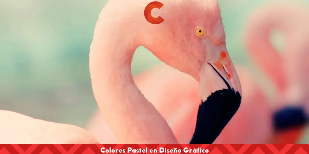 Flamencos rosados con un toque de colores pastel. El diseño gráfico resalta la suavidad de estos tonos.
