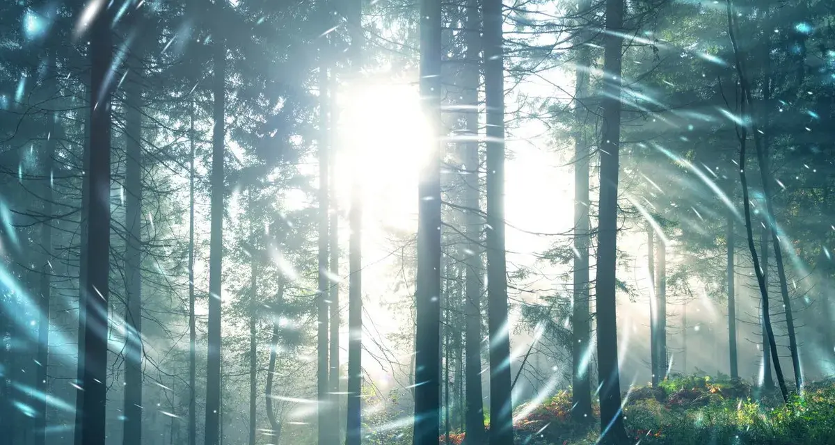 Promienie słońca przebijają się przez drzewa w lesie, tworząc magiczną aurę. W powietrzu unoszą się iskierki, jakby to był tekst "Sol Invictus".