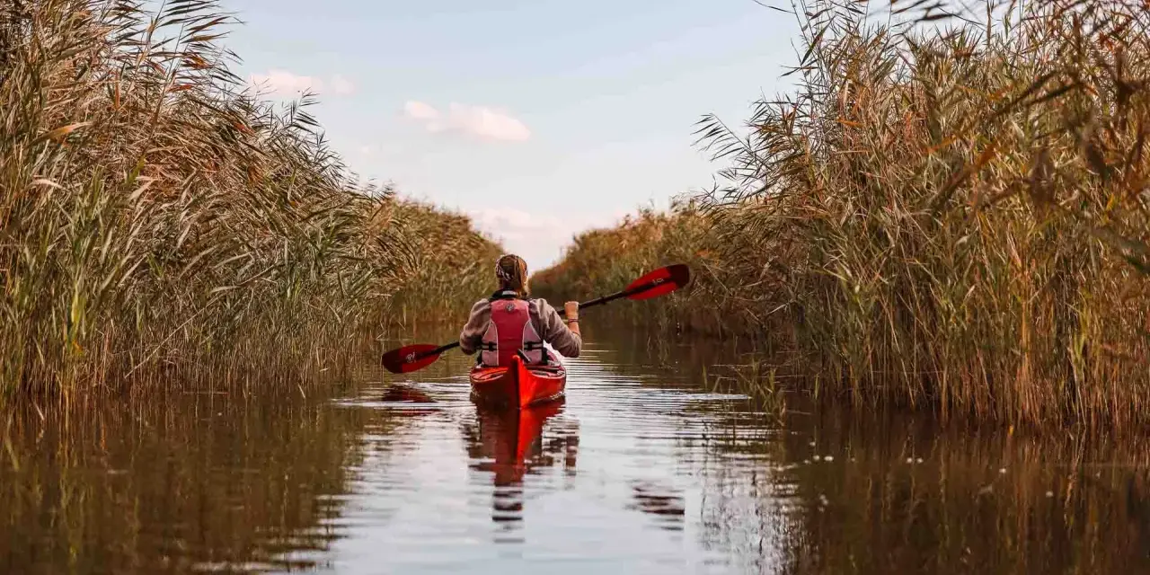 Kajakfahrer gleitet durch Schilf am Neusiedler See.