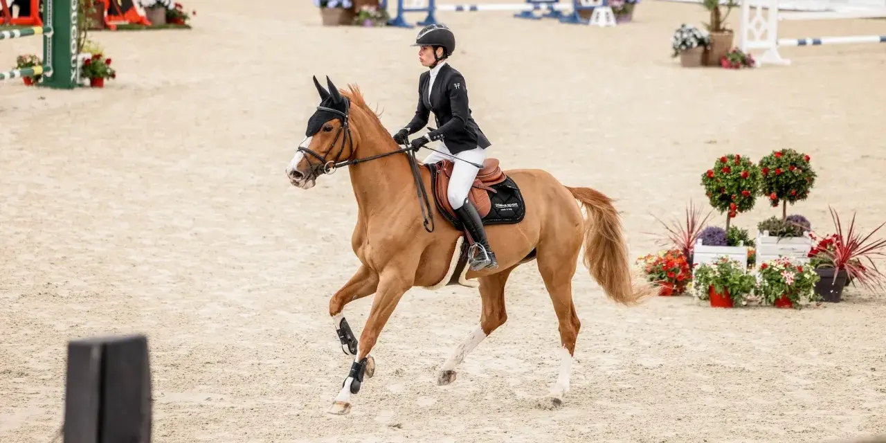 Une cavalière en tenue de concours, sur un cheval bai, effectue un galop 1 sur la piste de saut d'obstacles.