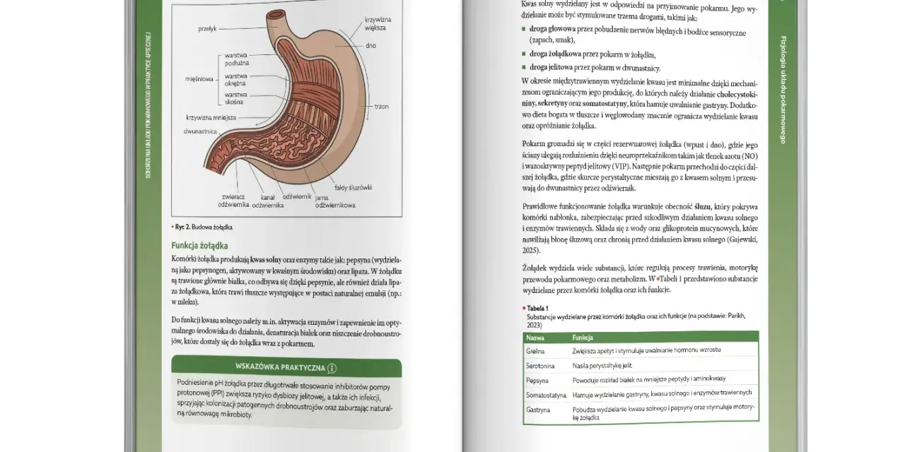 Helicobacter pylori: Złoty standard leczenia w Polsce leki i schematy