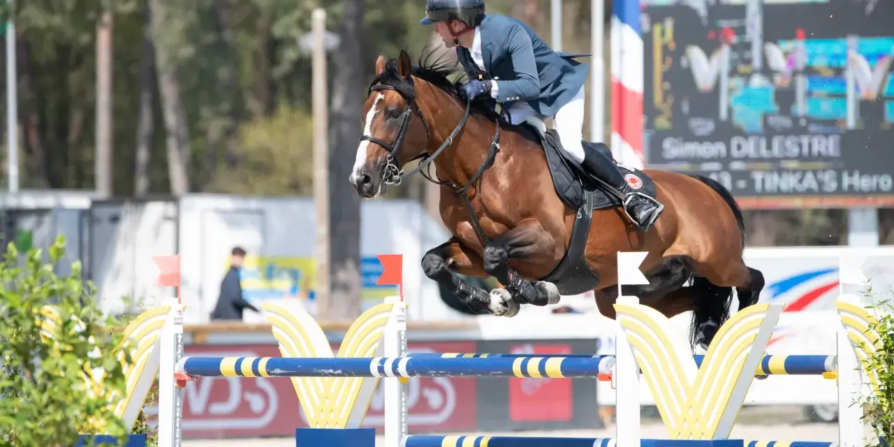 Le cavalier et Tinka's Hero, le champion de Tinka, franchissent un obstacle.