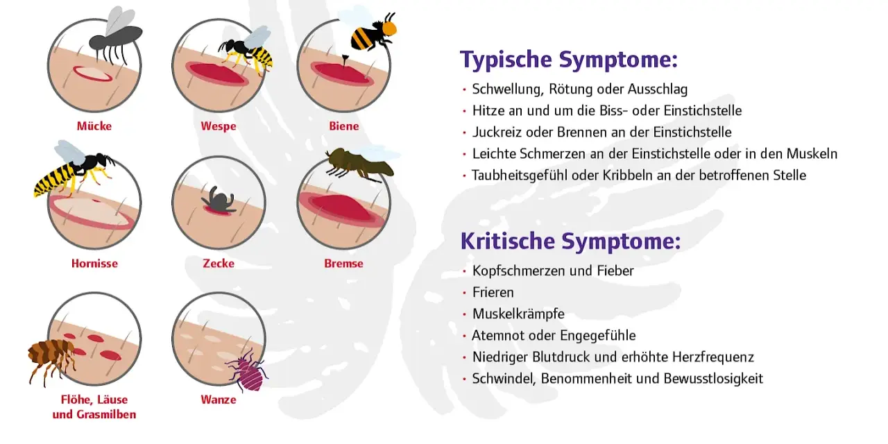 Illustrationen zeigen verschiedene Insektenstiche und ihre Symptome, wie Schwellung und Rötung. Eine wundrose nach insektenstich kann verschiedene Ursachen haben.