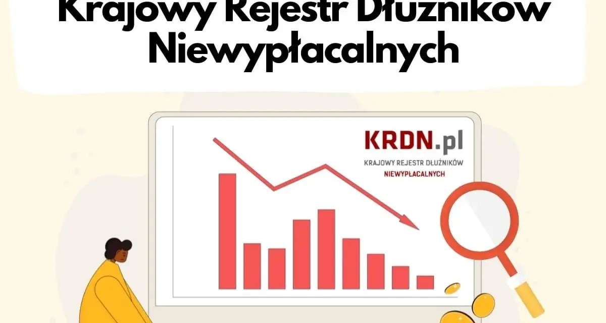 Dowiedz się, jak sprawdzić majątek osoby fizycznej, analizując dane z Krajowego Rejestru Dłużników Niewypłacalnych.