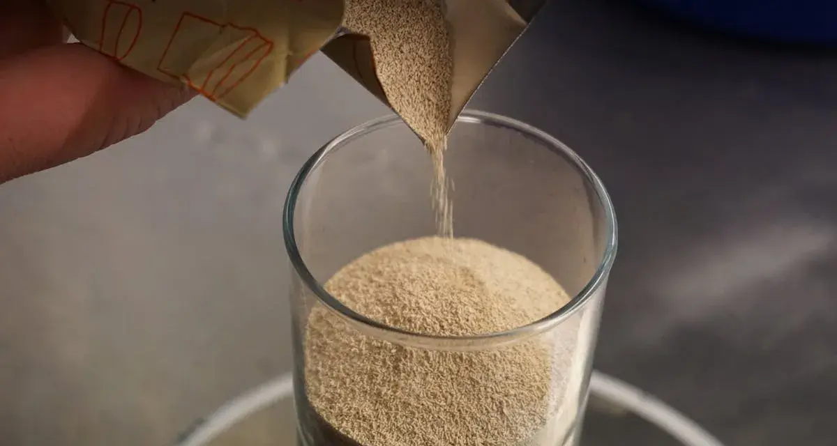 Versez de la levure de bière dans un verre. Découvrez ses nombreux bienfaits pour la santé et la beauté.
