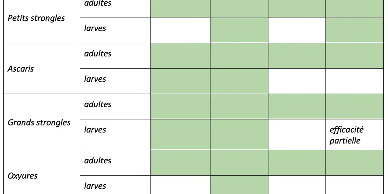 Tableau comparant l'efficacité de divers antiparasitaires contre les vers des chevaux (adultes et larves) : petits strongles, ascaris, grands strongles, oxyures, gastérophiles.