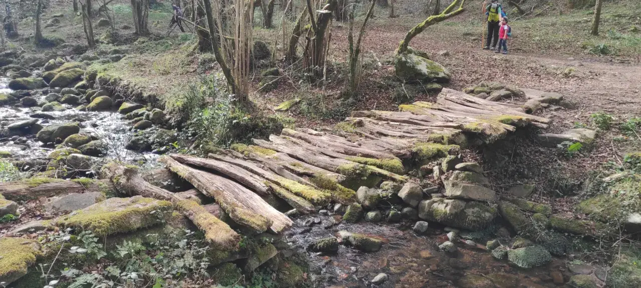 Puente rústico de troncos cubiertos de musgo en la ruta canal de las tejeras. Un arroyo fluye bajo él, rodeado de rocas y vegetación.