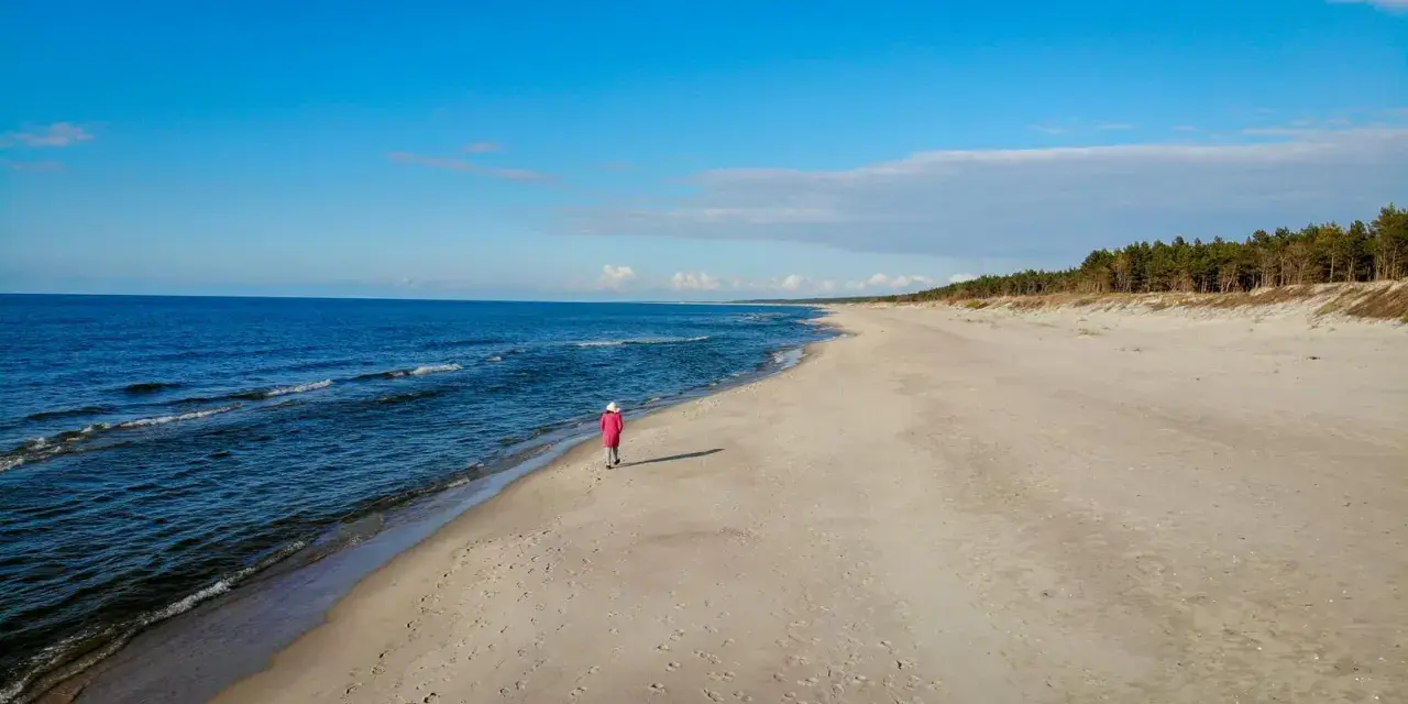 Samotna postać w różowym płaszczu spaceruje po piaszczystej plaży. W tle błękitne morze i sosnowy las, tworzące malowniczy krajobraz mierzei wiślanej.