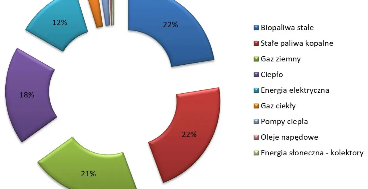 Wykres kołowy pokazuje podział energii: biopaliwa stałe (22%), ciepło (18%), gaz ziemny (21%), energia elektryczna (12%) i inne.