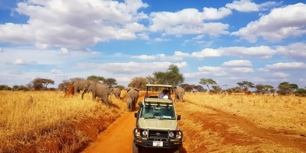 Niesamowite safari w Tanzanii! Słońce, chmury i stado słoni na tle sawanny. W oddali widać samochód terenowy z turystami.