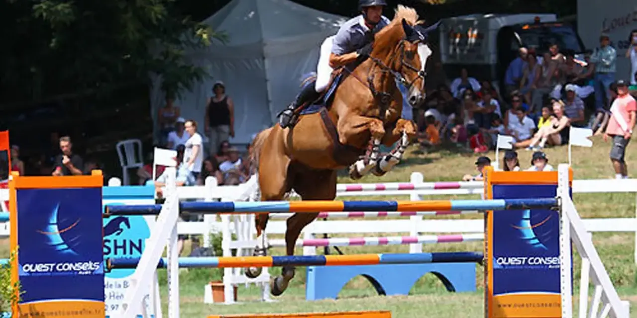 Un cheval brun saute par-dessus une barrière lors d'une compétition équestre, montrant un bel élan de la cour. Le cavalier est bien positionné.
