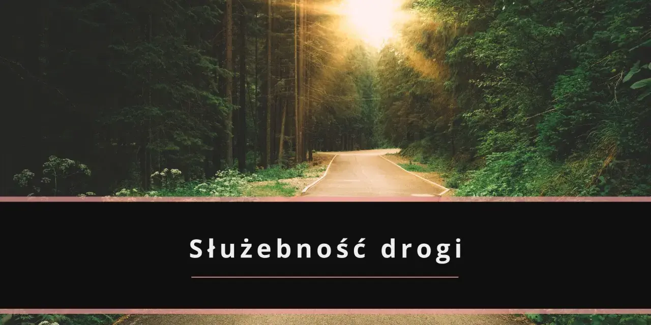 Droga przez las, gdzie słońce przebija się przez drzewa. Tekst "Służebność drogi" sugeruje potencjalne problemy z dostępem.