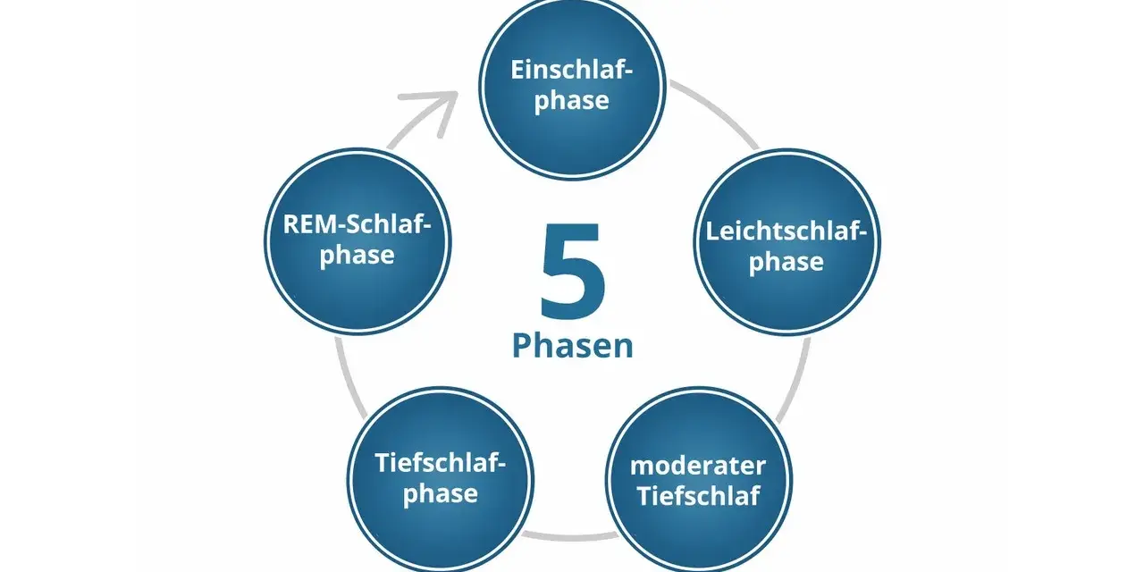 Der Schlafzyklus besteht aus 5 Phasen: Einschlaf-, Leichtschlaf-, Tiefschlaf-, moderater Tiefschlaf- und REM-Schlaf-Phase.