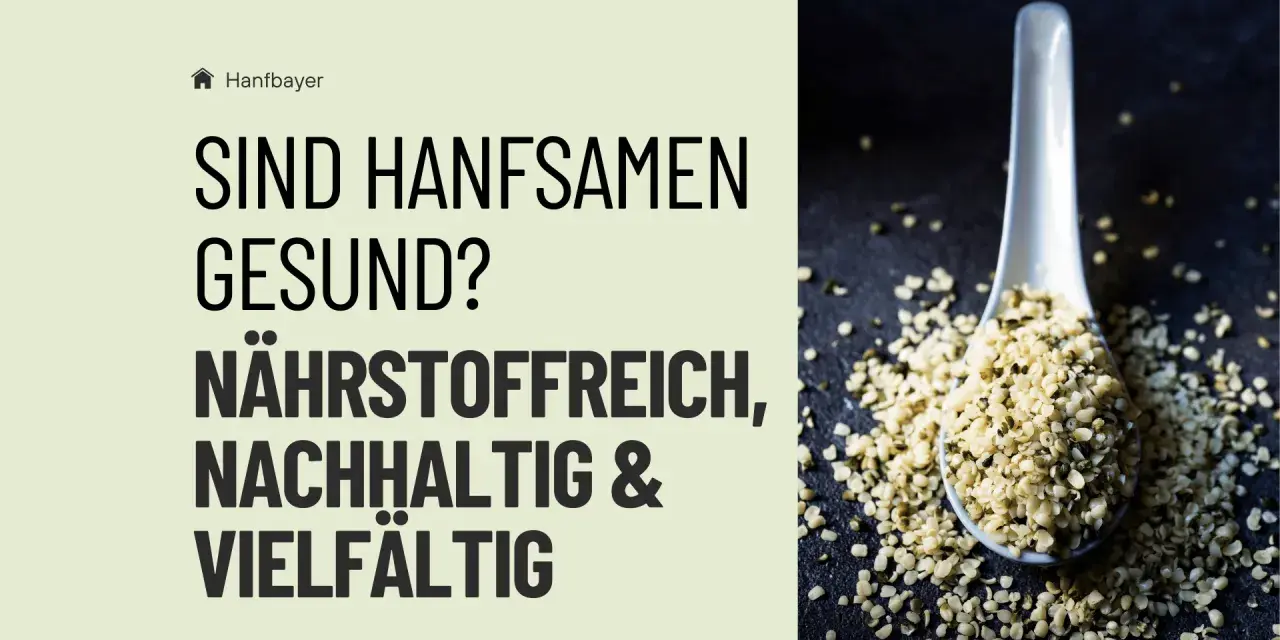 Sind Hanfsamen gesund? Ja, sie sind nährstoffreich, nachhaltig und vielseitig. Auf einem Löffel liegen Hanfsamen.