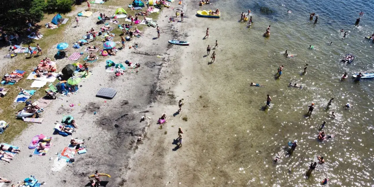 Tłoczna plaża nad jeziorem, ludzie opalają się, kąpią i pływają. Wakacyjny wypoczynek na **jeziorach lubelskich**.