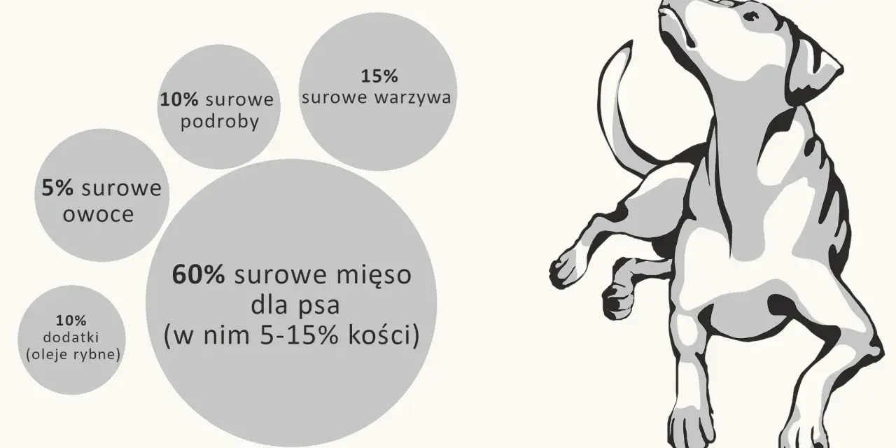 Ile surowego mięsa dla psa? Poznaj idealne proporcje dla zdrowia
