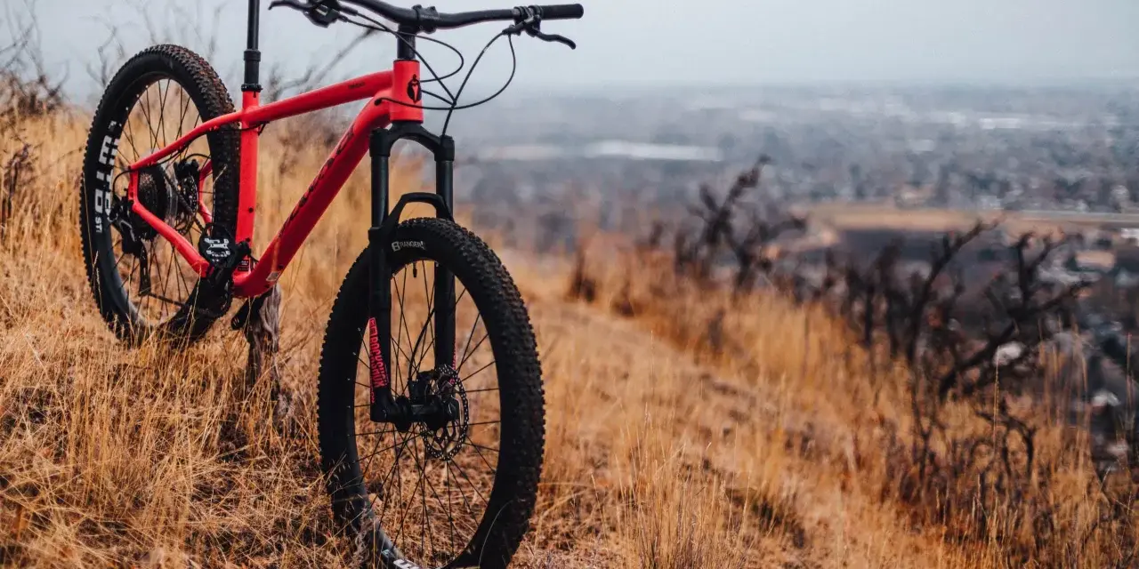 A red hardtail bike meaning adventure, rests on a dry, grassy hillside overlooking a hazy city.
