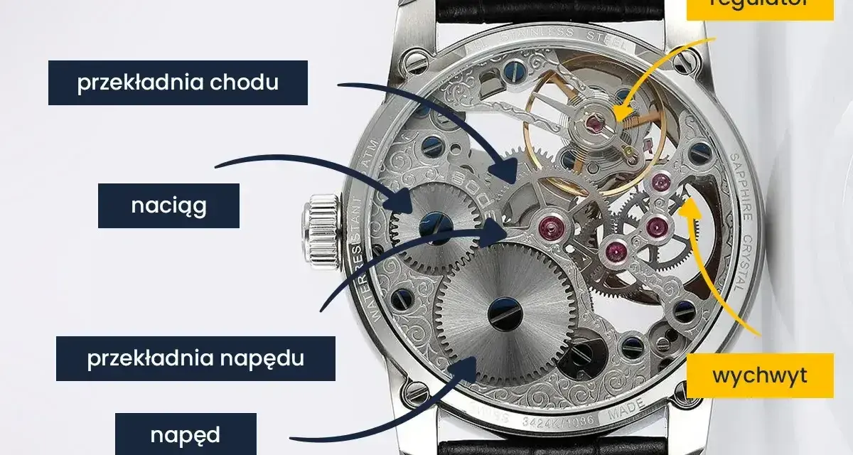 Widok mechanizmu zegarka z zaznaczonymi elementami: naciąg, przekładnia napędu, przekładnia chodu, regulator i wychwyt.