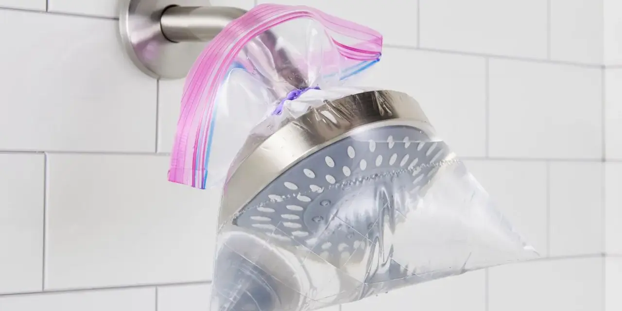 A shower head is submerged in a plastic bag filled with vinegar, secured with a rubber band. This shows how to clean shower head vinegar for a sparkling finish.