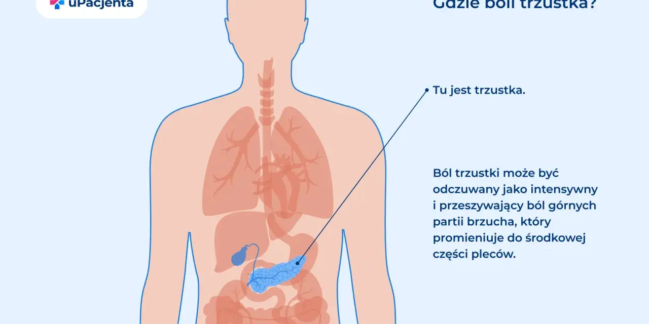 Ilustracja pokazuje ludzkie ciało z zaznaczonymi narządami. Wskazuje, gdzie jest trzustka, organ odpowiedzialny za trawienie i produkcję hormonów.