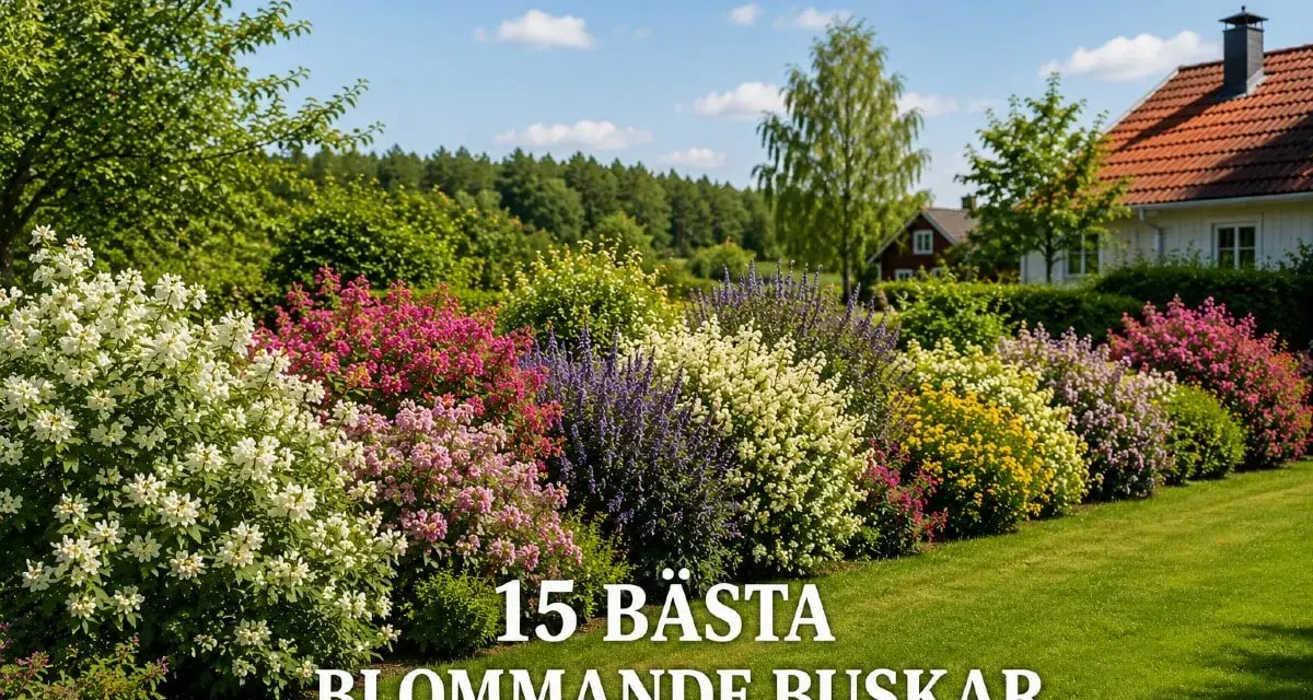 En vacker trädgård med en rad av blommande buskar i olika färger, från vitt och rosa till lila och gult.