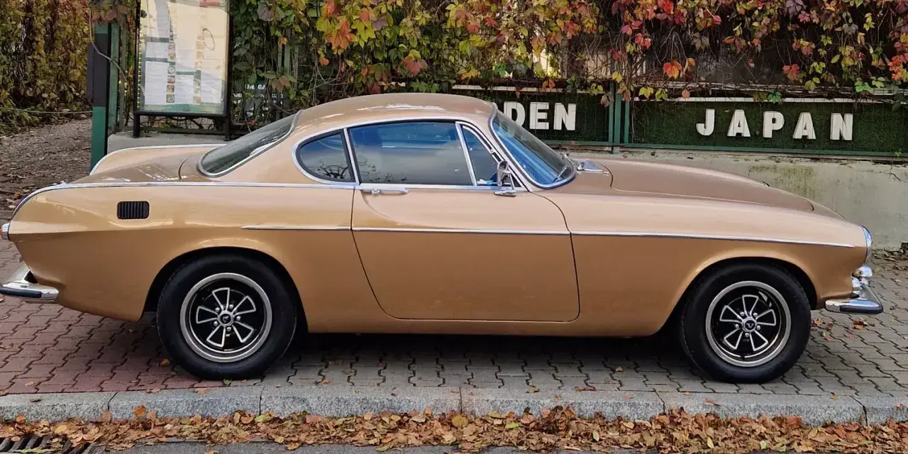 Klasyczny Volvo P1800 w kolorze złotym, zaparkowany na tle jesiennych liści i zielonego płotu z napisem "JAPAN".