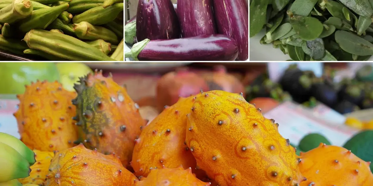 Kiwano, bakłażany, okra i inne egzotyczne warzywa tworzą barwną mozaikę smaków.