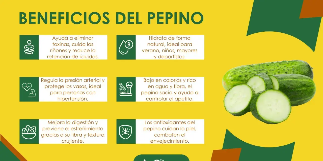 Beneficios del pepino: hidrata, regula la presión, mejora digestión y cuida la piel. ¡Un aliado natural!