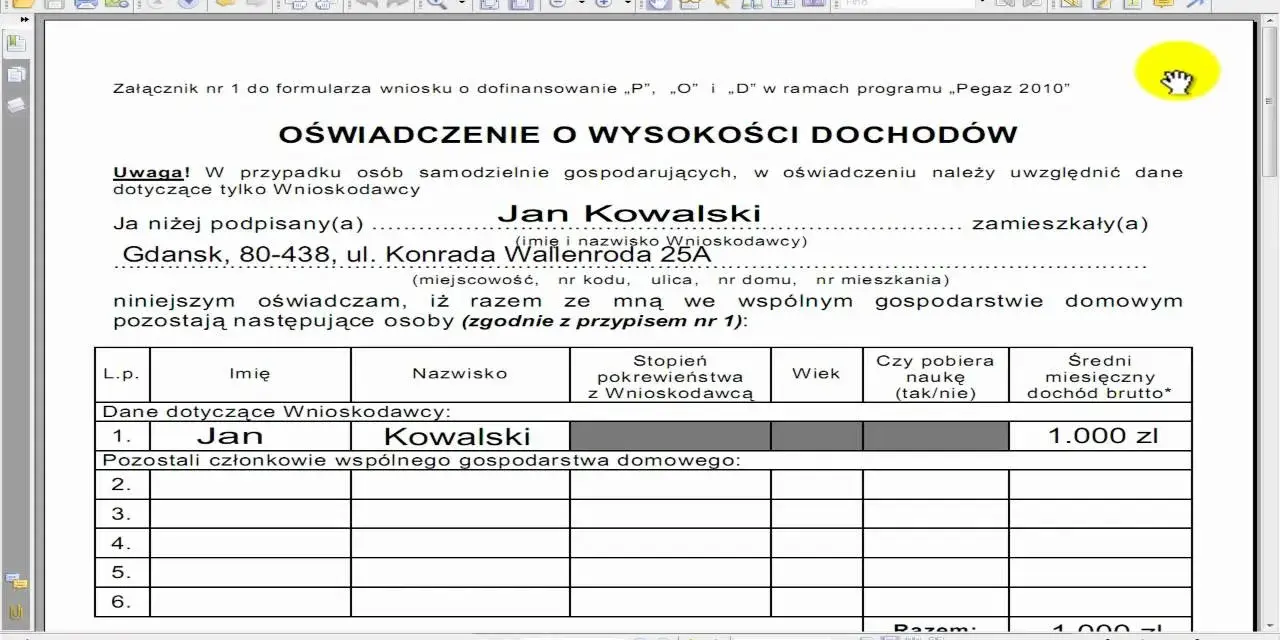Oświadczenie o dochodach: jak wypełnić bez błędów?