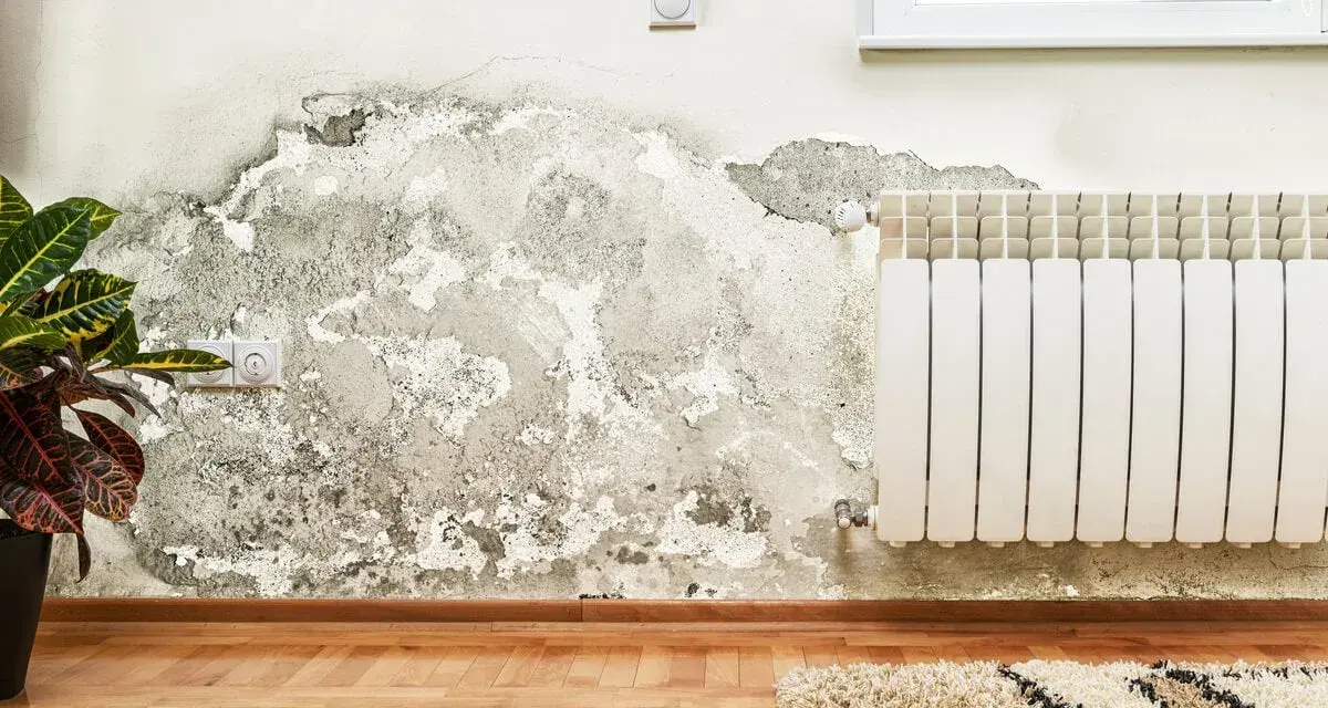 Pared con humedad y moho, indicando para que sirve el agua fuerte: para eliminar estas manchas y restaurar la pared.
