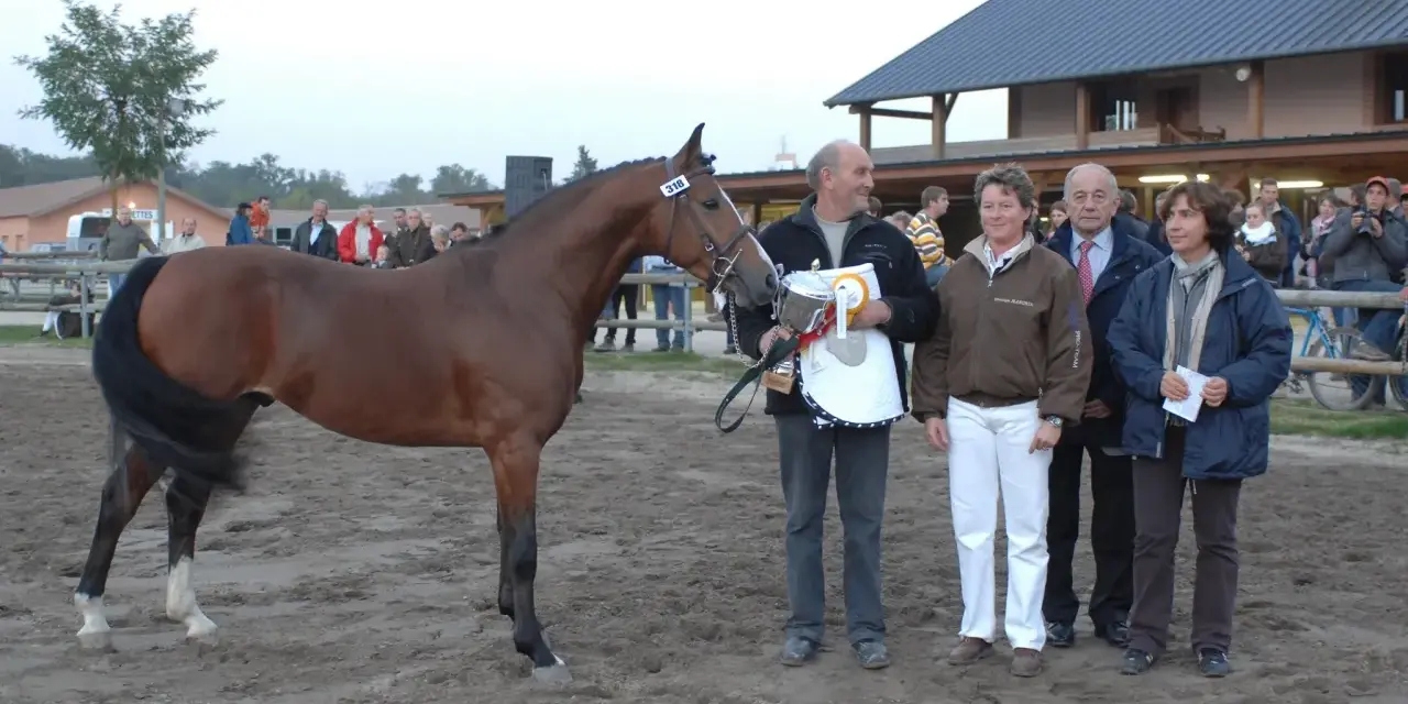 Un cheval brun primé, avec le numéro 318, est présenté par un homme tenant un trophée. Derrière eux, des spectateurs et des juges se tiennent près d'un bâtiment, formant des monceaux d'admiration.