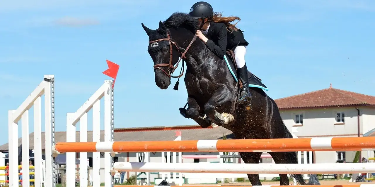 Une cavalière et son cheval noir effectuent un saut d'obstacle impressionnant.