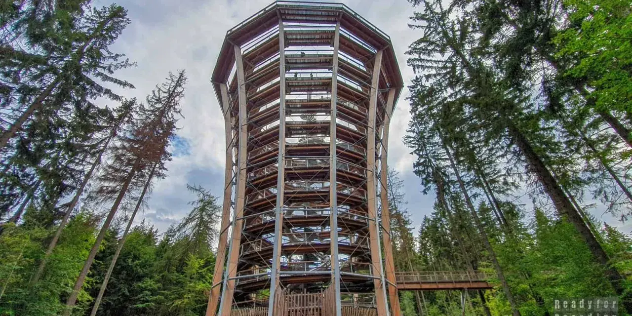 Wieża widokowa w otoczeniu lasu, idealne miejsce na spacer po koronach drzew w czeskich Karkonoszach.