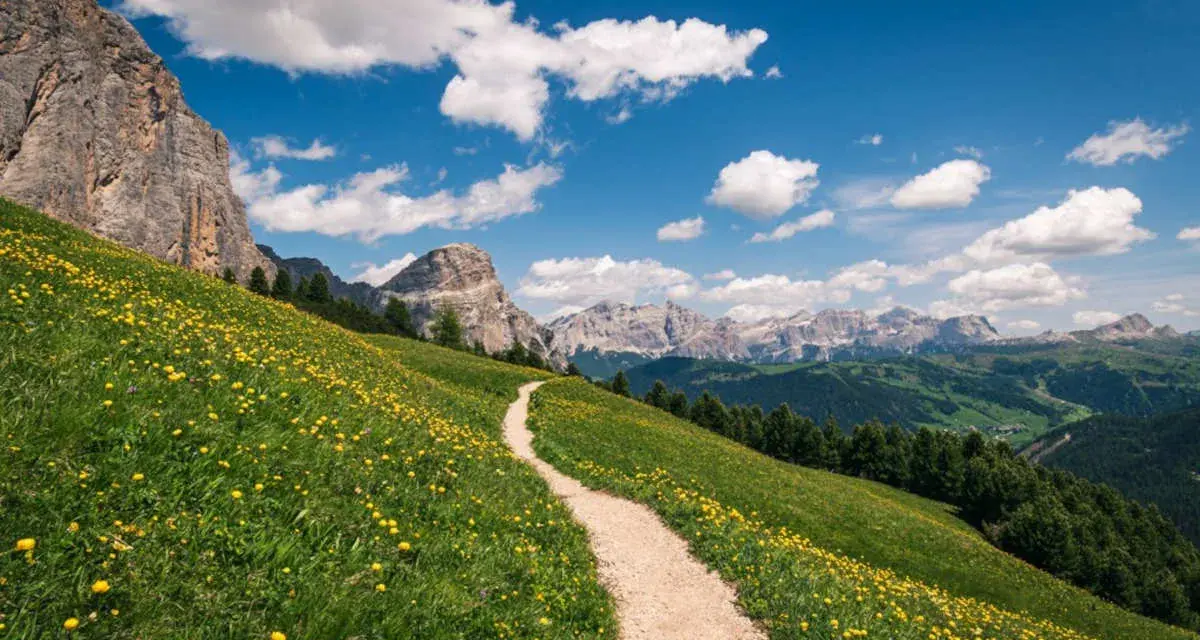 Sentiero in fiore per un trekking di 5 giorni in Italia. Montagne maestose e cielo azzurro con nuvole bianche.