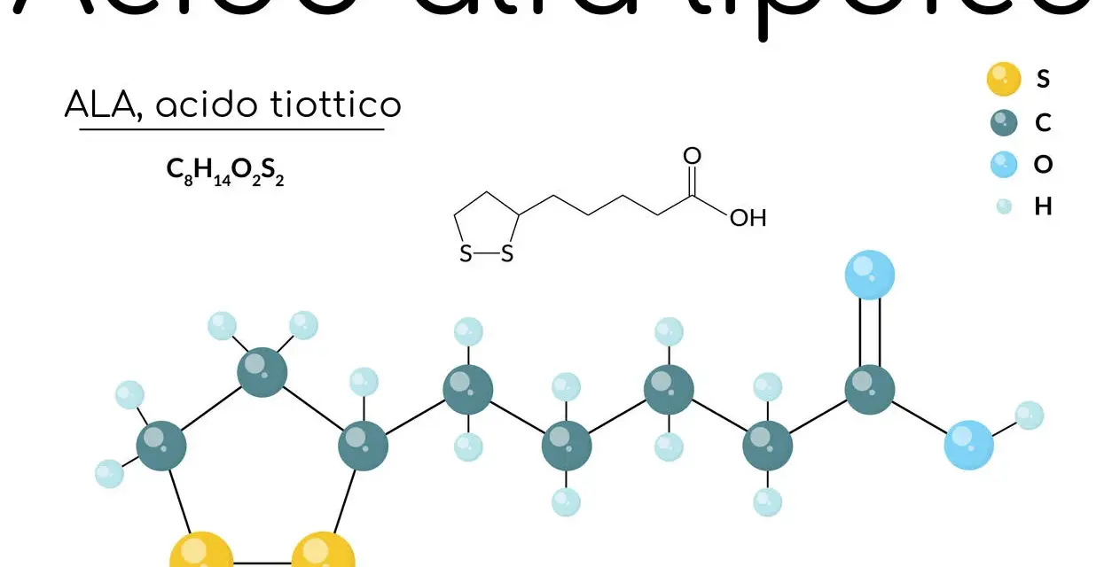 Acido alfa lipoico (ALA) a cosa serve? Struttura chimica e formula C8H14O2S2. Utile antiossidante.
