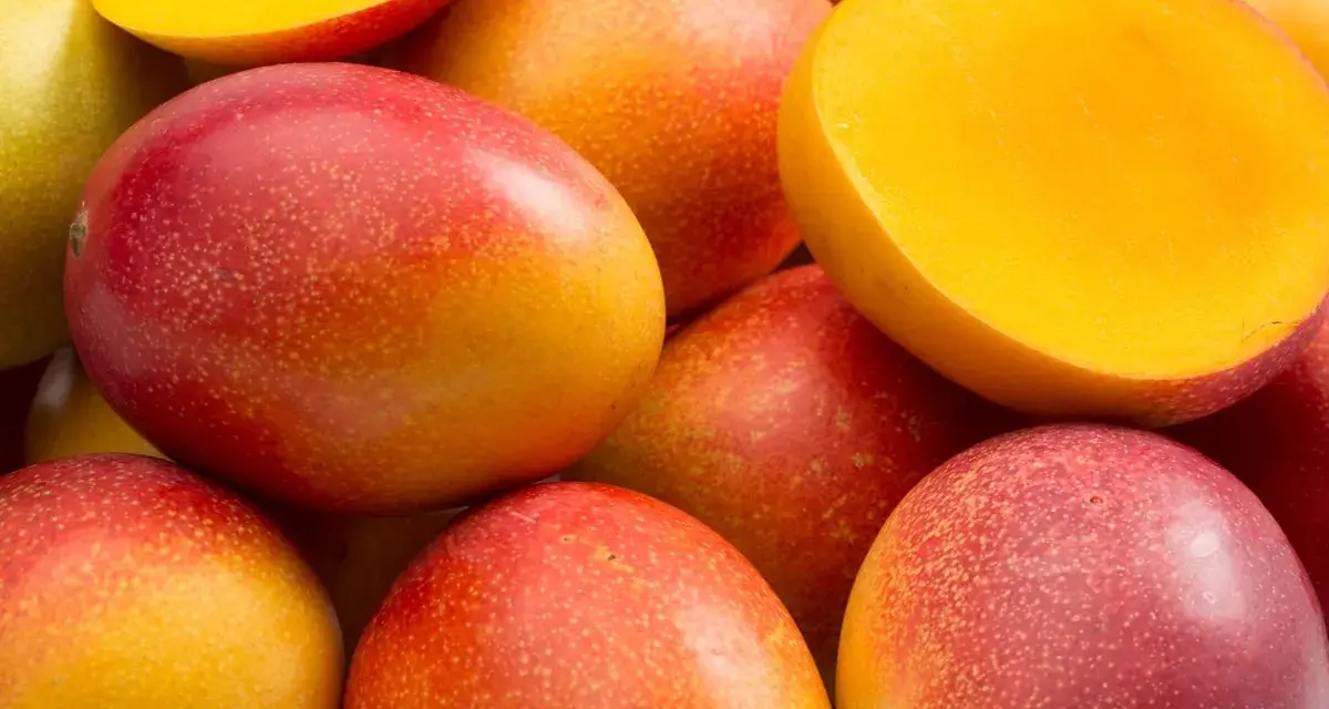 Soczyste mango, pełne witamin i błonnika. Odkryj jego bogate mango wartości odżywcze.