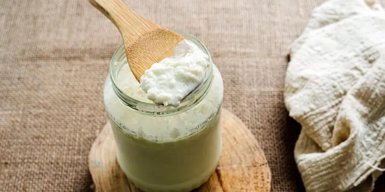 Une cuillère en bois prélève du lait fermenté d'un bocal. Idéal pour savoir que faire avec du lait fermenté.