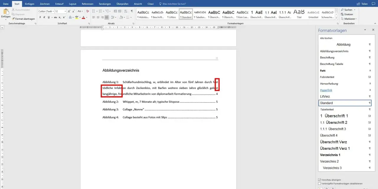 Das Abbildungsverzeichnis in Word zeigt eine Liste von Abbildungen mit Titeln und Seitenzahlen, die für die diplomarbeit formatierung erstellt wurde.