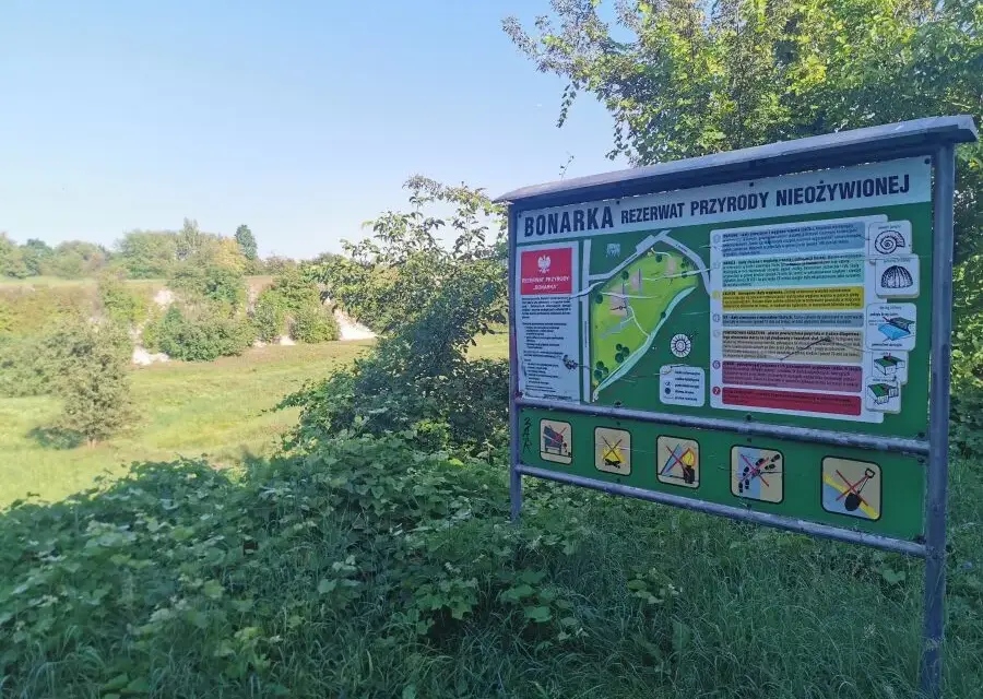 Rezerwat przyrody Bonarka: tajemnice geologiczne i atrakcje w Krakowie