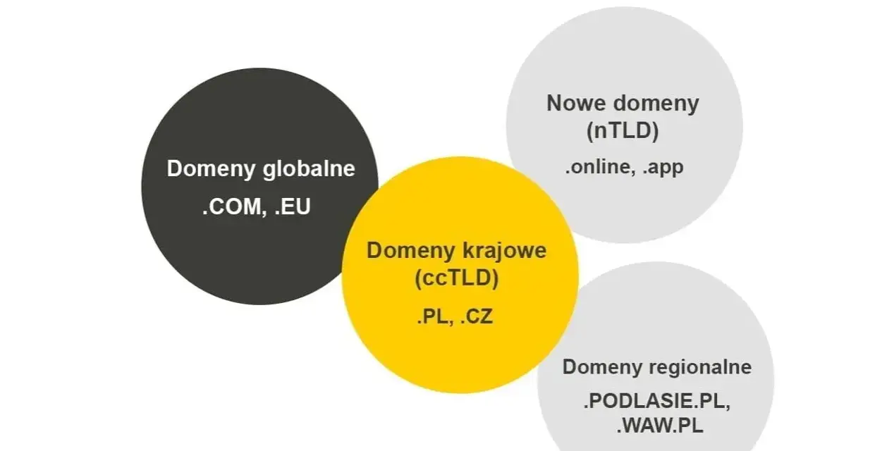 Domeny internetowe dla początkujących: Co to, jak działa, jak wybrać?