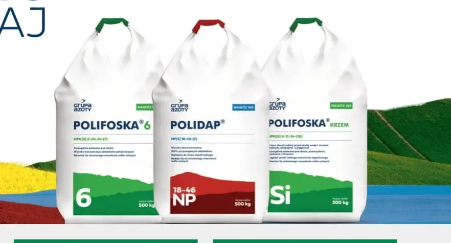 Ile polifoski na trawnik? Sprawdź, jak osiągnąć piękny trawnik