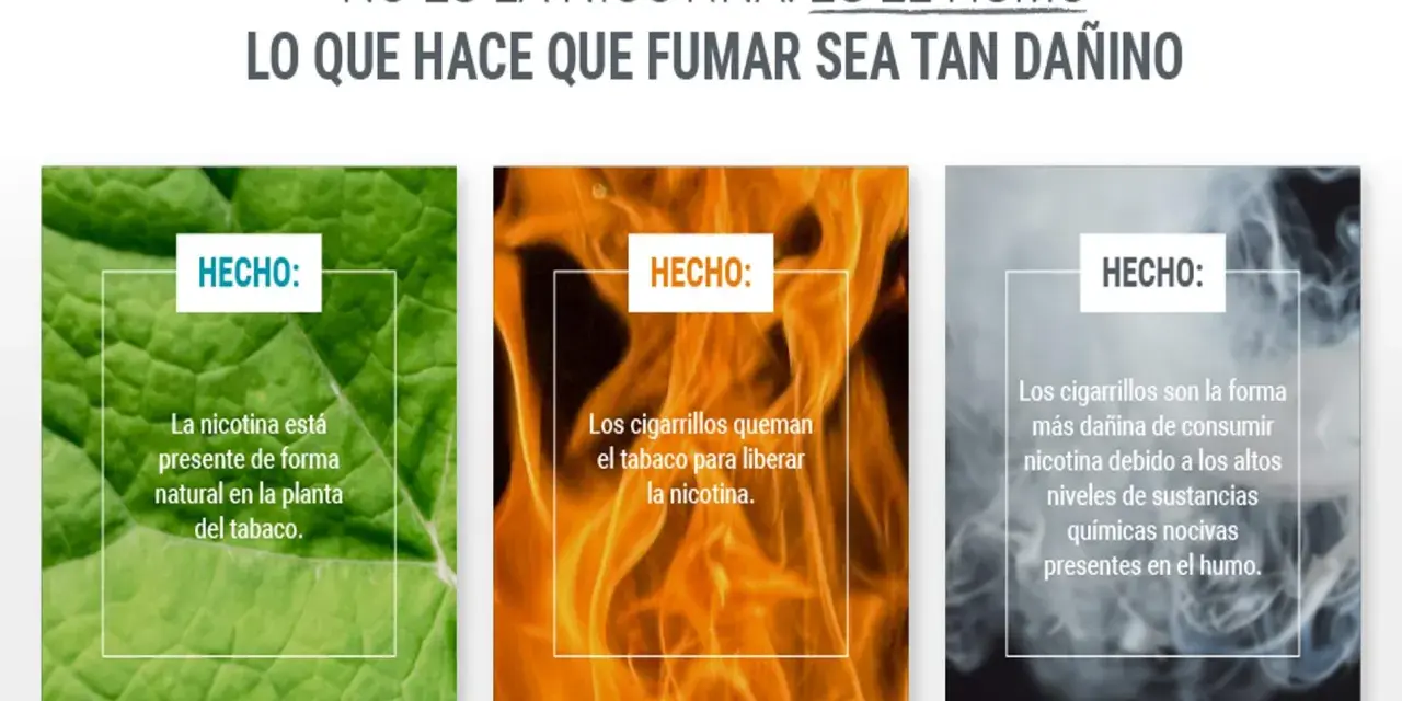 La nicotina, presente en el tabaco, se libera al quemarse. El humo del cigarrillo es lo dañino, no solo qué hace la nicotina en el cuerpo.