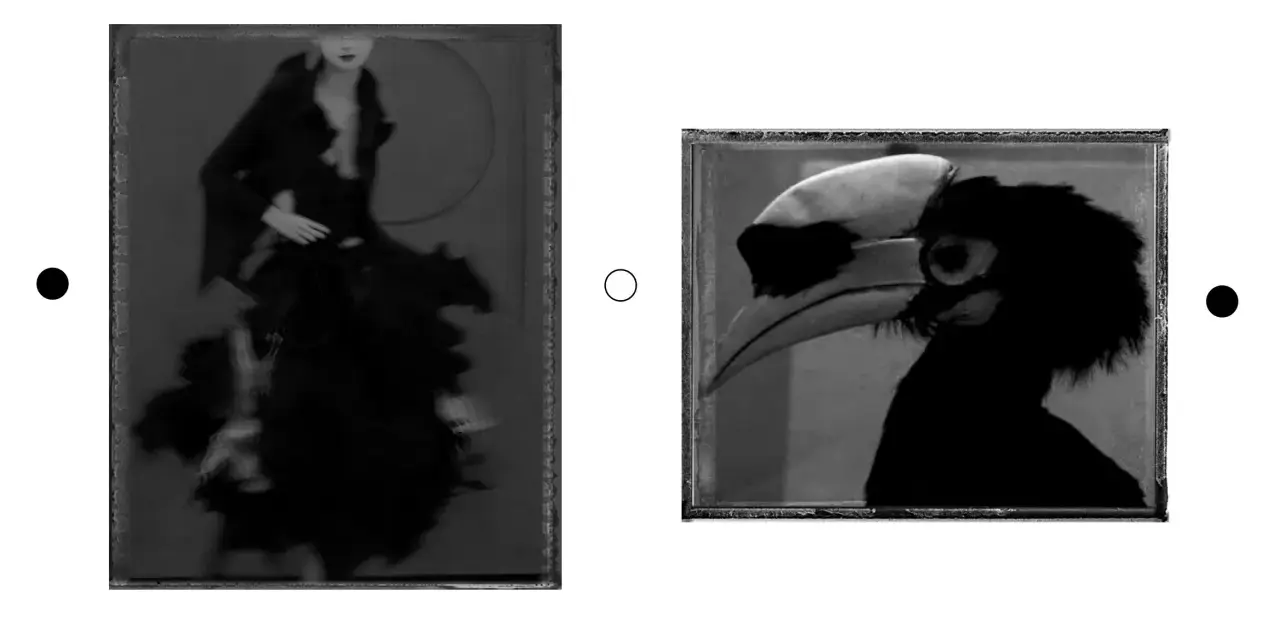 Dwie czarno-białe fotografie w stylu Sarah Moon: kobieta w czarnej sukni i ptak z wielkim dziobem.