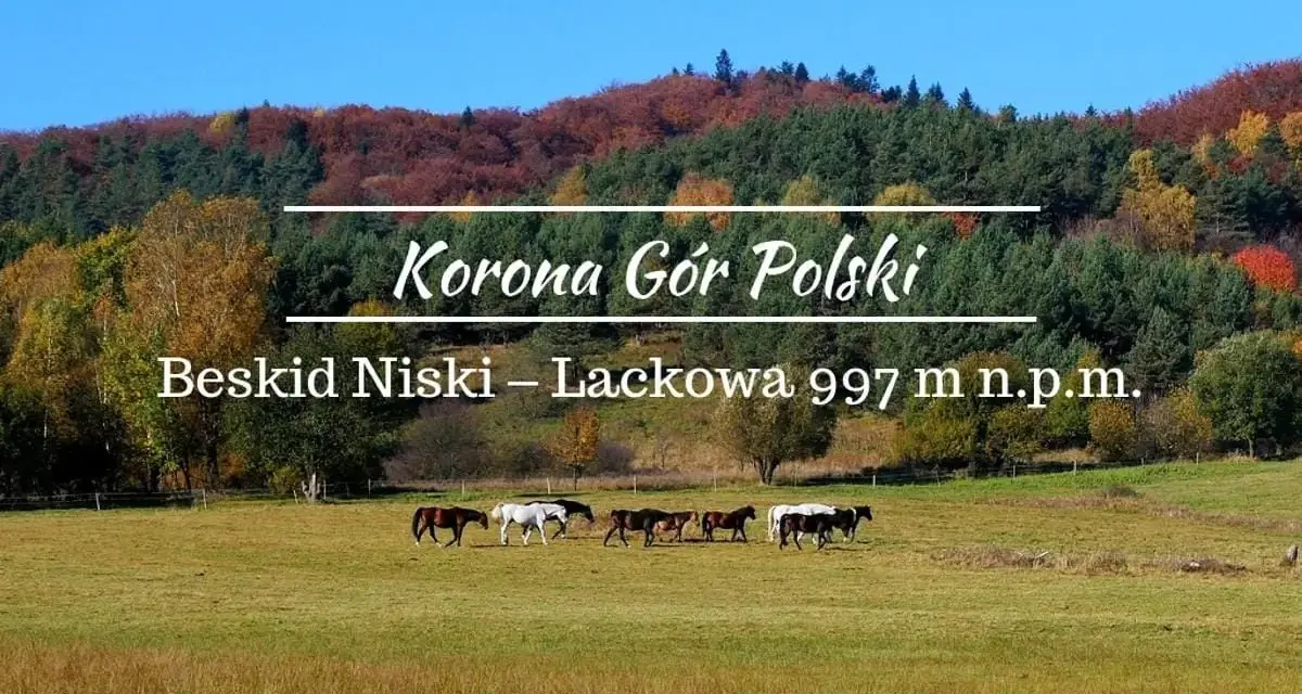 Jesienne barwy Beskidu Niskiego, z Łacową jako jednym z jego szczytów. Konie pasące się na łące.