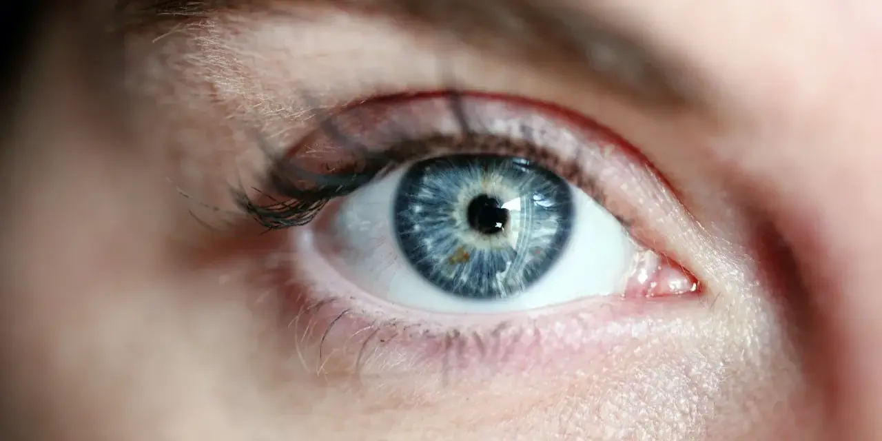 Occhio azzurro intenso, con iride dettagliata che riflette la luce. La sua trasparenza evoca il **vitrea significato** di profondità e purezza.